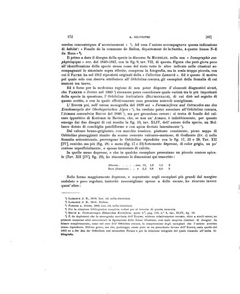 Palaeontographia Italica raccolta di monografie paleontologiche fondata da Mario Canavari nell'anno 1895