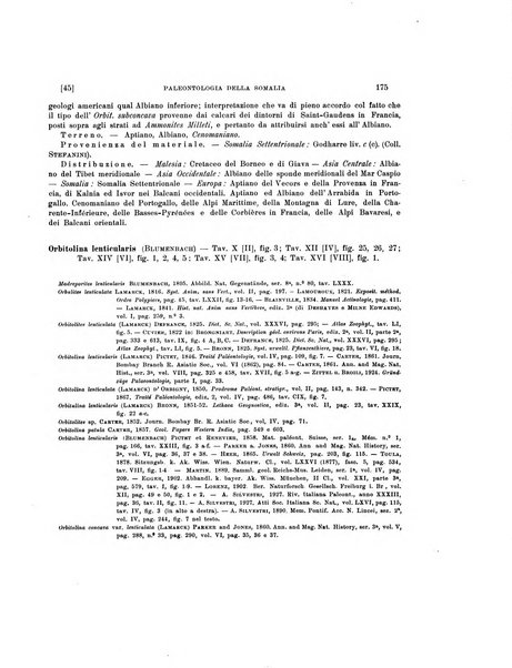 Palaeontographia Italica raccolta di monografie paleontologiche fondata da Mario Canavari nell'anno 1895