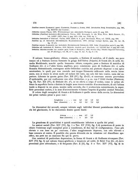 Palaeontographia Italica raccolta di monografie paleontologiche fondata da Mario Canavari nell'anno 1895