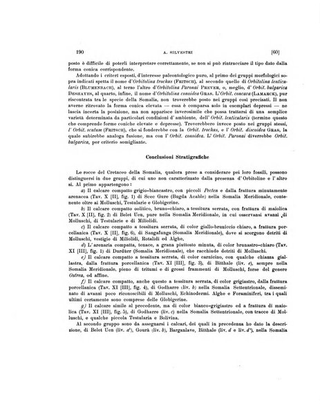 Palaeontographia Italica raccolta di monografie paleontologiche fondata da Mario Canavari nell'anno 1895