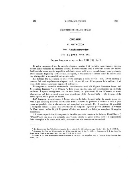 Palaeontographia Italica raccolta di monografie paleontologiche fondata da Mario Canavari nell'anno 1895