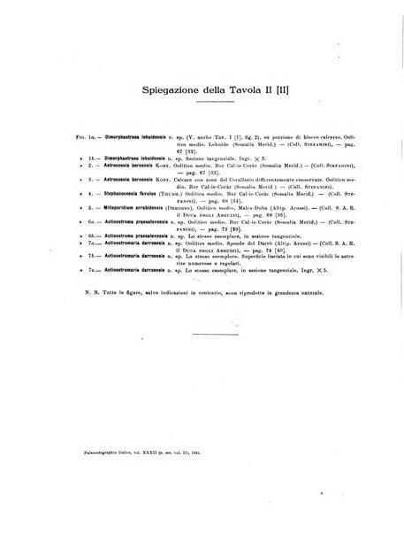 Palaeontographia Italica raccolta di monografie paleontologiche fondata da Mario Canavari nell'anno 1895