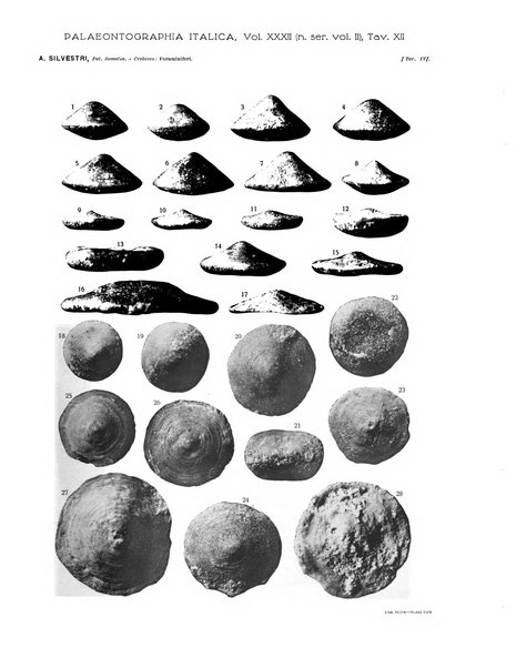 Palaeontographia Italica raccolta di monografie paleontologiche fondata da Mario Canavari nell'anno 1895