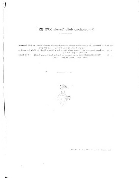 Palaeontographia Italica raccolta di monografie paleontologiche fondata da Mario Canavari nell'anno 1895