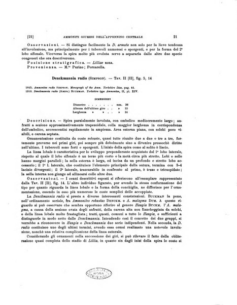 Palaeontographia Italica raccolta di monografie paleontologiche fondata da Mario Canavari nell'anno 1895