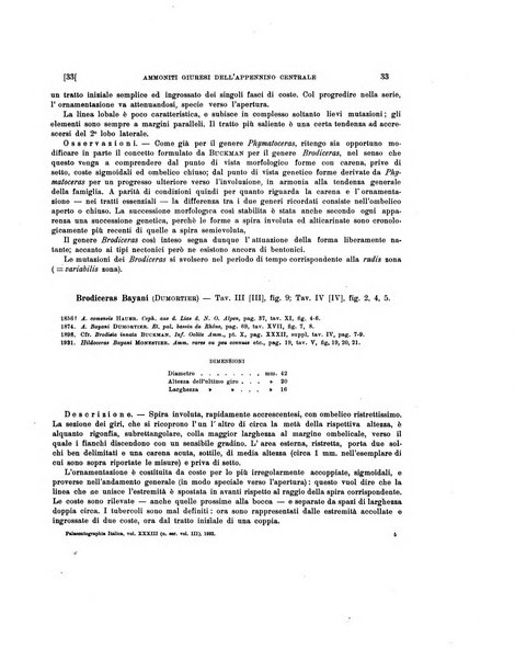 Palaeontographia Italica raccolta di monografie paleontologiche fondata da Mario Canavari nell'anno 1895