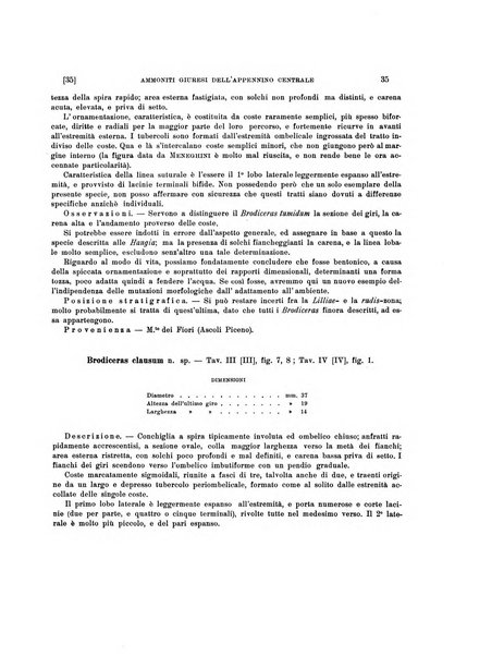 Palaeontographia Italica raccolta di monografie paleontologiche fondata da Mario Canavari nell'anno 1895