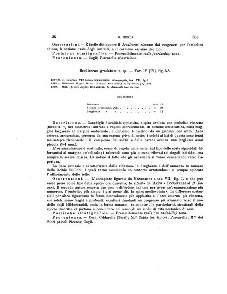 Palaeontographia Italica raccolta di monografie paleontologiche fondata da Mario Canavari nell'anno 1895