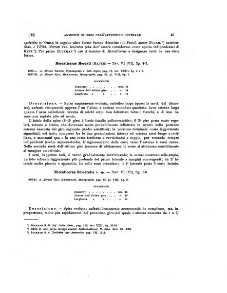 Palaeontographia Italica raccolta di monografie paleontologiche fondata da Mario Canavari nell'anno 1895