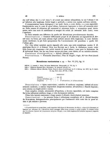 Palaeontographia Italica raccolta di monografie paleontologiche fondata da Mario Canavari nell'anno 1895