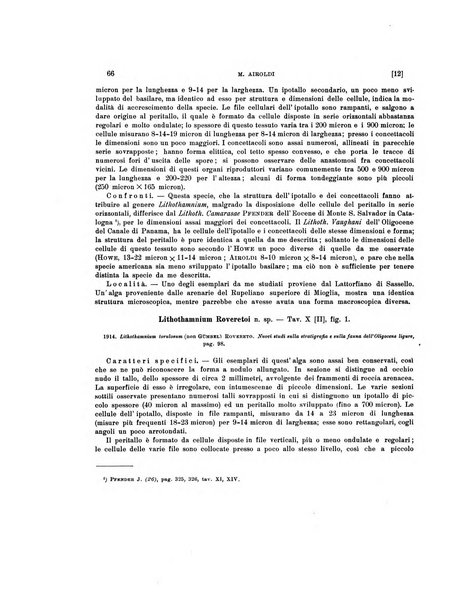 Palaeontographia Italica raccolta di monografie paleontologiche fondata da Mario Canavari nell'anno 1895