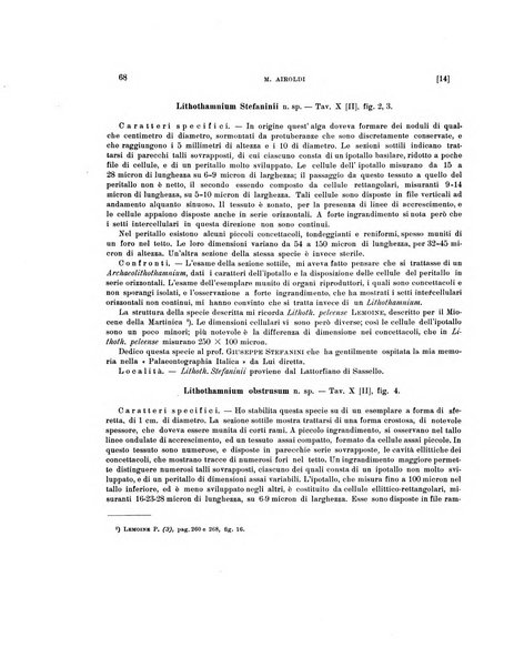 Palaeontographia Italica raccolta di monografie paleontologiche fondata da Mario Canavari nell'anno 1895