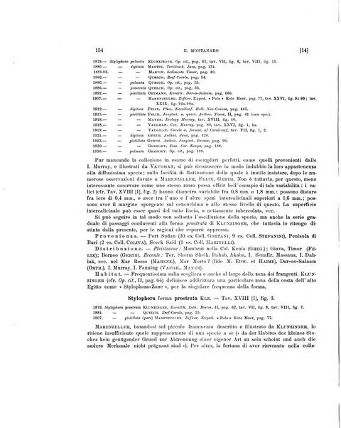 Palaeontographia Italica raccolta di monografie paleontologiche fondata da Mario Canavari nell'anno 1895