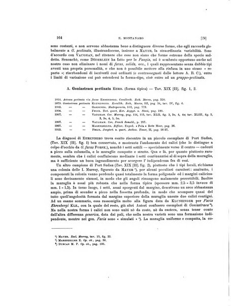 Palaeontographia Italica raccolta di monografie paleontologiche fondata da Mario Canavari nell'anno 1895