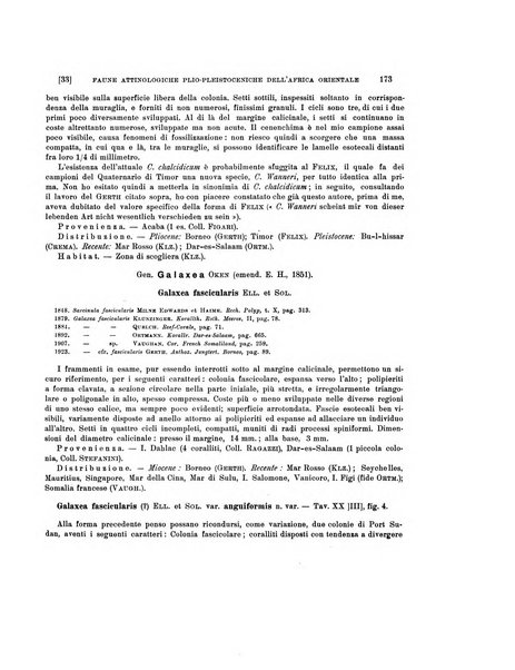 Palaeontographia Italica raccolta di monografie paleontologiche fondata da Mario Canavari nell'anno 1895