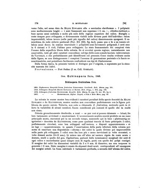 Palaeontographia Italica raccolta di monografie paleontologiche fondata da Mario Canavari nell'anno 1895