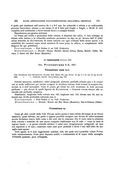 Palaeontographia Italica raccolta di monografie paleontologiche fondata da Mario Canavari nell'anno 1895