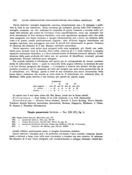 Palaeontographia Italica raccolta di monografie paleontologiche fondata da Mario Canavari nell'anno 1895