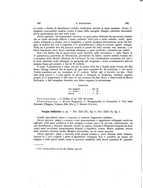 Palaeontographia Italica raccolta di monografie paleontologiche fondata da Mario Canavari nell'anno 1895