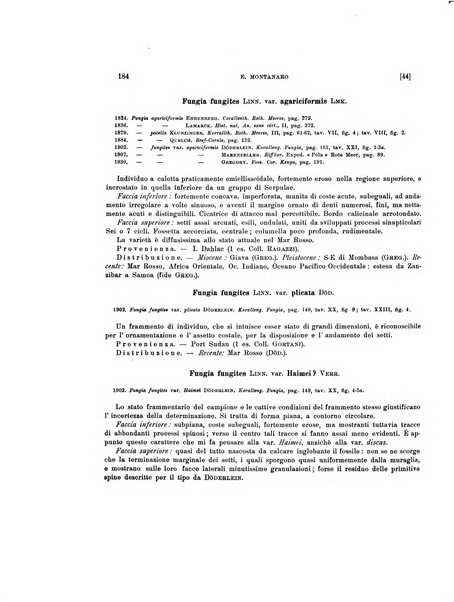 Palaeontographia Italica raccolta di monografie paleontologiche fondata da Mario Canavari nell'anno 1895