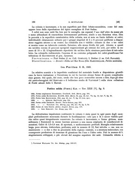 Palaeontographia Italica raccolta di monografie paleontologiche fondata da Mario Canavari nell'anno 1895