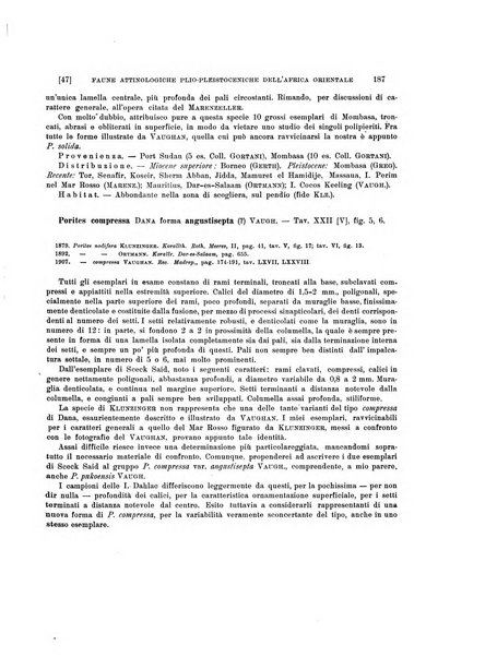 Palaeontographia Italica raccolta di monografie paleontologiche fondata da Mario Canavari nell'anno 1895