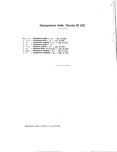 Palaeontographia Italica raccolta di monografie paleontologiche fondata da Mario Canavari nell'anno 1895