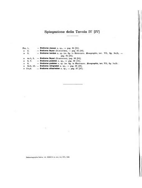 Palaeontographia Italica raccolta di monografie paleontologiche fondata da Mario Canavari nell'anno 1895