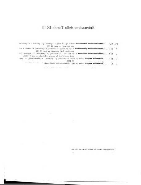 Palaeontographia Italica raccolta di monografie paleontologiche fondata da Mario Canavari nell'anno 1895