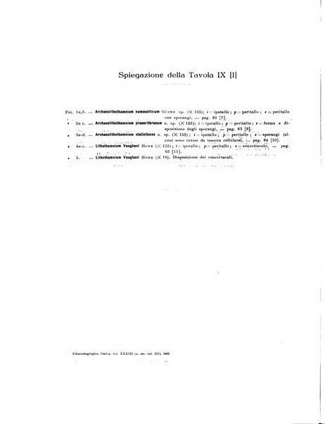 Palaeontographia Italica raccolta di monografie paleontologiche fondata da Mario Canavari nell'anno 1895