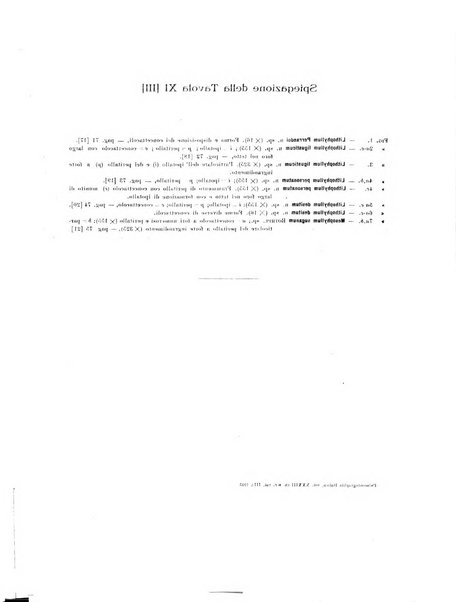 Palaeontographia Italica raccolta di monografie paleontologiche fondata da Mario Canavari nell'anno 1895