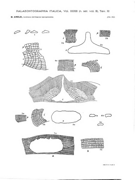 Palaeontographia Italica raccolta di monografie paleontologiche fondata da Mario Canavari nell'anno 1895