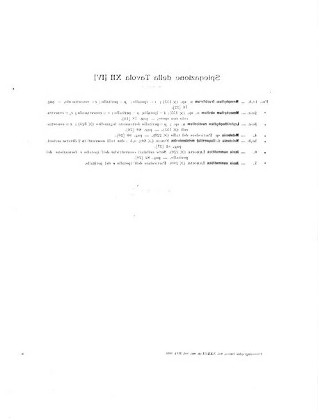 Palaeontographia Italica raccolta di monografie paleontologiche fondata da Mario Canavari nell'anno 1895