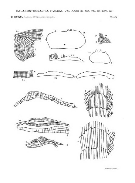 Palaeontographia Italica raccolta di monografie paleontologiche fondata da Mario Canavari nell'anno 1895