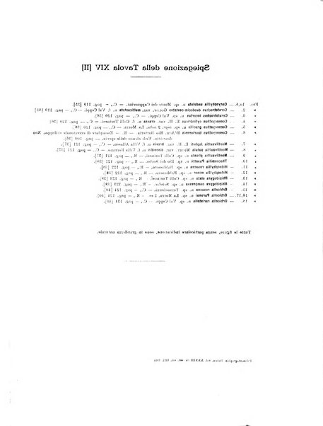 Palaeontographia Italica raccolta di monografie paleontologiche fondata da Mario Canavari nell'anno 1895