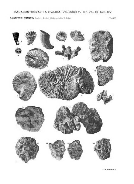 Palaeontographia Italica raccolta di monografie paleontologiche fondata da Mario Canavari nell'anno 1895