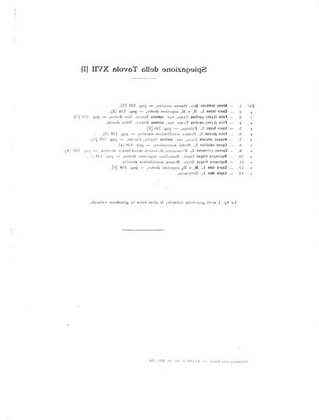 Palaeontographia Italica raccolta di monografie paleontologiche fondata da Mario Canavari nell'anno 1895