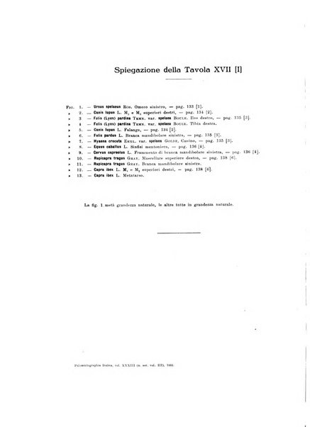 Palaeontographia Italica raccolta di monografie paleontologiche fondata da Mario Canavari nell'anno 1895