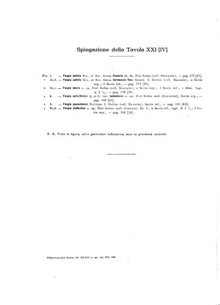 Palaeontographia Italica raccolta di monografie paleontologiche fondata da Mario Canavari nell'anno 1895