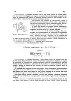 giornale/VEA0025754/1933/unico/00000036