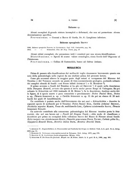 Palaeontographia Italica raccolta di monografie paleontologiche fondata da Mario Canavari nell'anno 1895