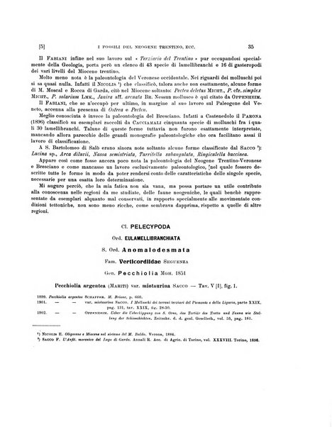 Palaeontographia Italica raccolta di monografie paleontologiche fondata da Mario Canavari nell'anno 1895