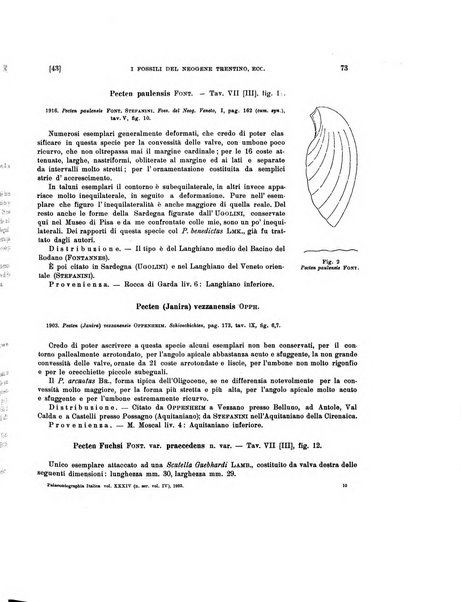 Palaeontographia Italica raccolta di monografie paleontologiche fondata da Mario Canavari nell'anno 1895