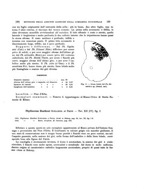 Palaeontographia Italica raccolta di monografie paleontologiche fondata da Mario Canavari nell'anno 1895