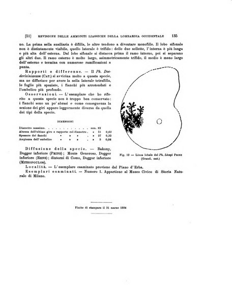 Palaeontographia Italica raccolta di monografie paleontologiche fondata da Mario Canavari nell'anno 1895