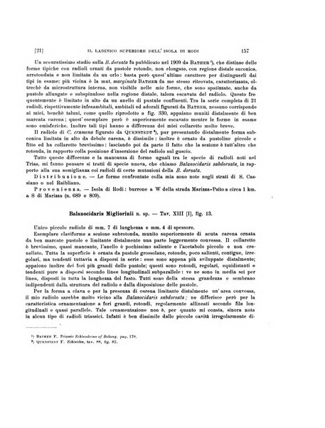 Palaeontographia Italica raccolta di monografie paleontologiche fondata da Mario Canavari nell'anno 1895