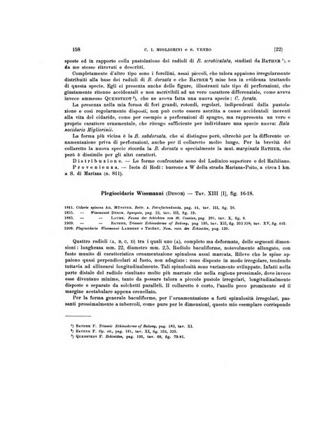 Palaeontographia Italica raccolta di monografie paleontologiche fondata da Mario Canavari nell'anno 1895