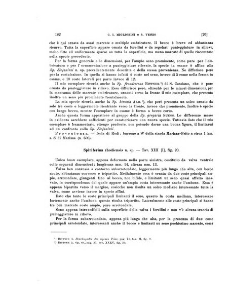 Palaeontographia Italica raccolta di monografie paleontologiche fondata da Mario Canavari nell'anno 1895