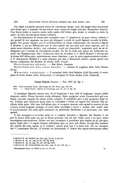 Palaeontographia Italica raccolta di monografie paleontologiche fondata da Mario Canavari nell'anno 1895