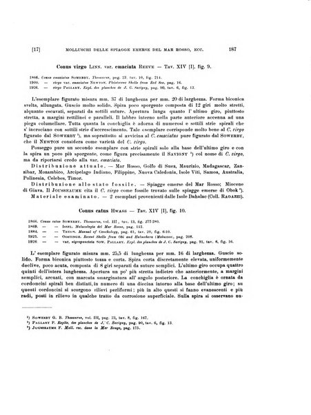 Palaeontographia Italica raccolta di monografie paleontologiche fondata da Mario Canavari nell'anno 1895